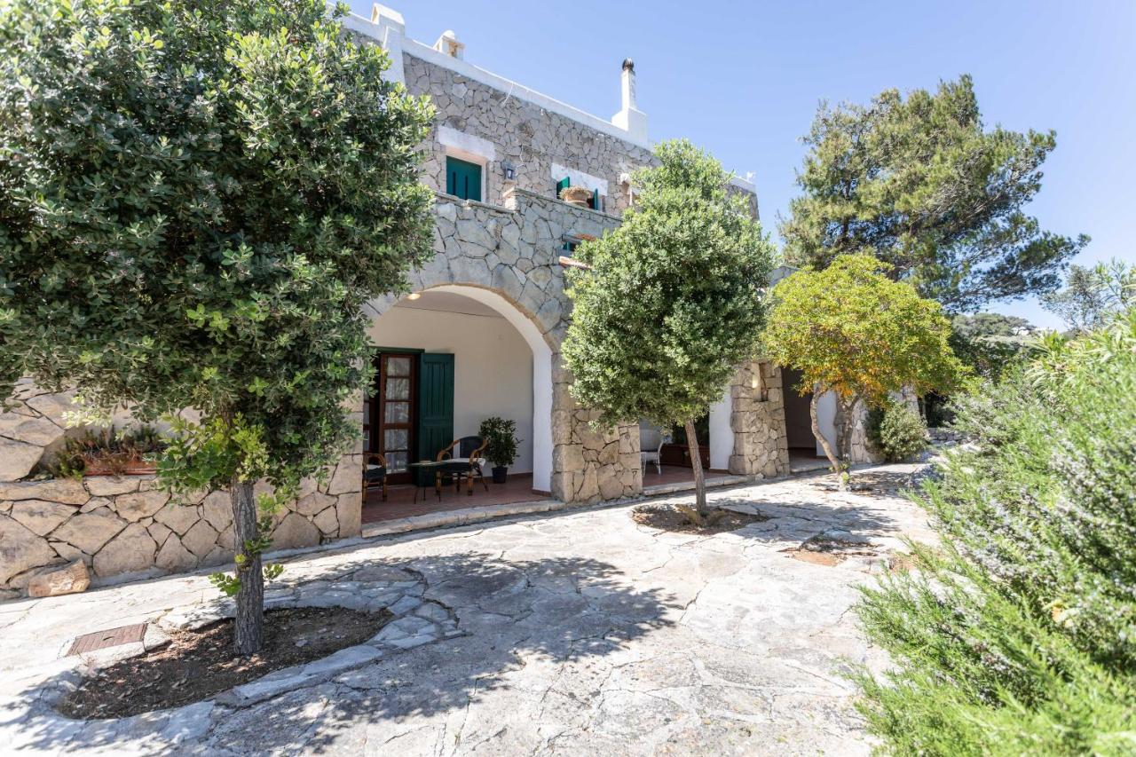 Il Posto Delle Fragole Bed and Breakfast Castro  Εξωτερικό φωτογραφία