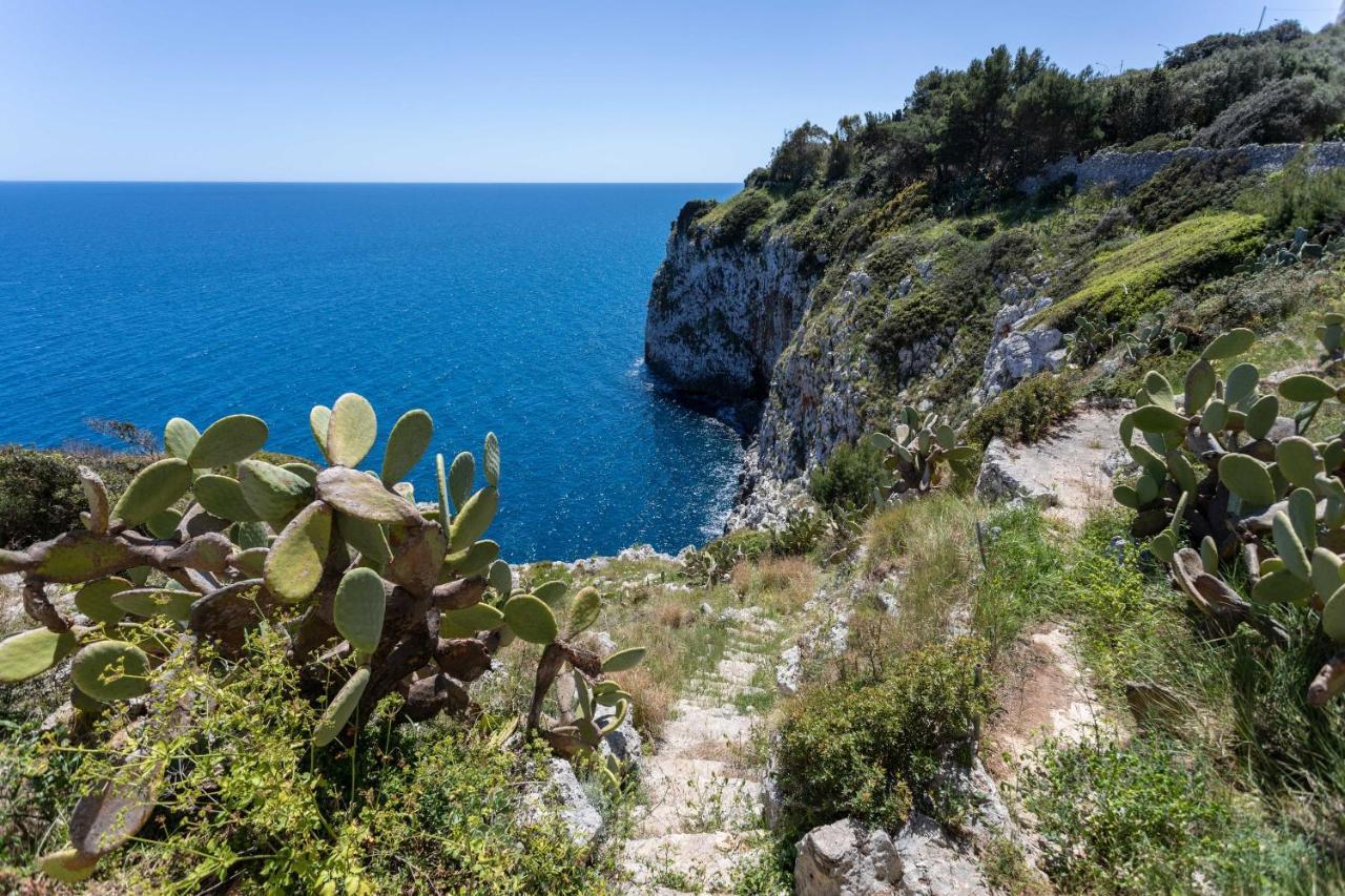 Il Posto Delle Fragole Bed and Breakfast Castro  Εξωτερικό φωτογραφία